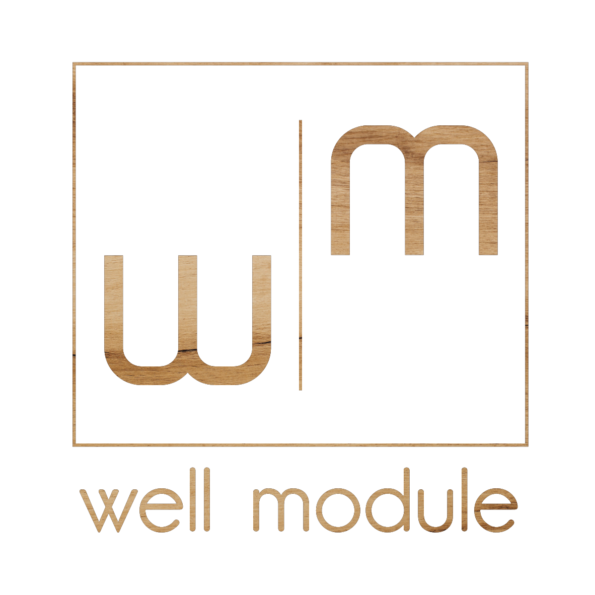 Well Module